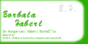 borbala haberl business card
